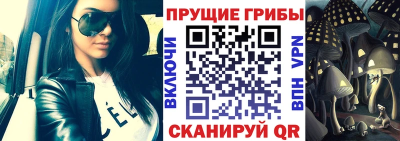 Галлюциногенные грибы Cubensis  Купить  Якутск 
